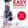 DASH Deluxe Compact Masticating Slow Juicer, Easy to Clean Cold Press Juicer with Brush, Pulp Measuring Cup, Frozen Attachment and Juice Recipe Guide – Black(Graphite)