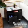 Smart Side/Nightstand Table – with Cooling Drawer, Wireless Charging, Bluetooth Speakers, USB-C and 120V outlets, LED Light, Wood/Black(Wood/Black)