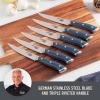 DASH Zakarian 6-Piece Steak Knife Set, Non-Serrated Full Tang German Steel Blade, Black(Blue)