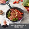 Zakarian by Dash 9.5 Inch Small Nonstick Cast Iron Skillet, Titanium Ceramic Coated Frying Pan, Blue(Black)