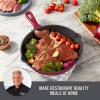 Zakarian by Dash 9.5 Inch Small Nonstick Cast Iron Skillet, Titanium Ceramic Coated Frying Pan, Blue(Cranberry)