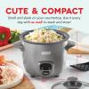 DASH Mini Rice Cooker Steamer with Removable Nonstick Pot, Keep Warm Function & Recipe Guide, .5 Quart, for Soups, Stews, Grains & Oatmeal – Graphite