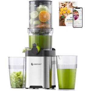 AMZCHEF 120MM Machine a Jus de Fruit Extracteur Entiers – Jus de Fruits et Légumes à Mastication Lente Slow Juicer – Sans Préparation Extracteur de Jus Vertical – Argent(Argenté)