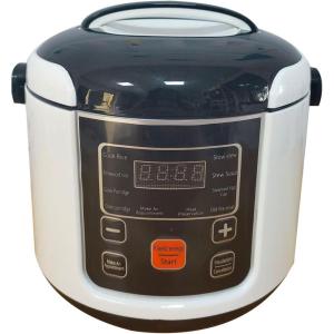 AUNMAS Mini Cuiseur à Riz, Petit Cuiseur Vapeur électrique de Voyage de 2 L avec Plateau à Vapeur, Fonction de Maintien au Chaud, Portable pour Voiture, Camion, Maison (24V)(12V)