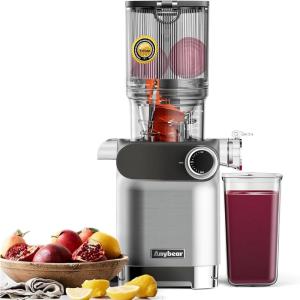 Anybear Extracteur de Jus à Froid, 200W Masticien Extracteur de Jus, 110cm Grande Gamelle pour Fruits et Légumes Entiers, Extracteur de jus Lent, Matériaux Tritan, Sans BPA (Argent)(Argent)