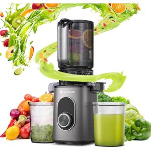 AAOBOSI Slow Juicer Extracteur de Jus, Extracteur de Jus de Fruits et Légumes Ouverture de 110 mm, Fonction de Mastication Inversée,Sans BPA, adapté à tous les Fruits et Légumes(Gris)
